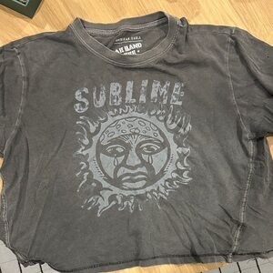 American Eagle Outfitters Gray Sublime Crop Top